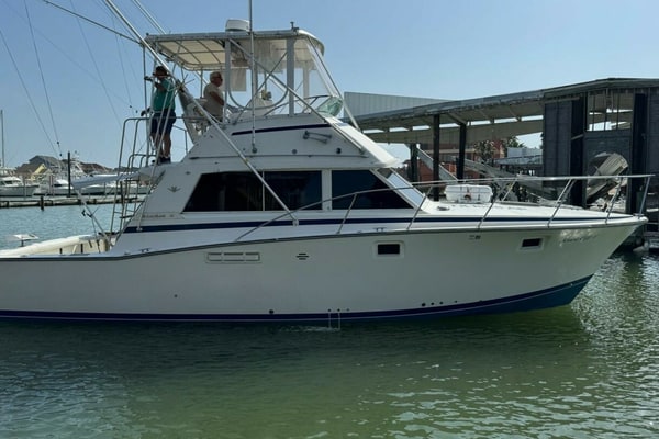1983 Bertram 385 Convertible