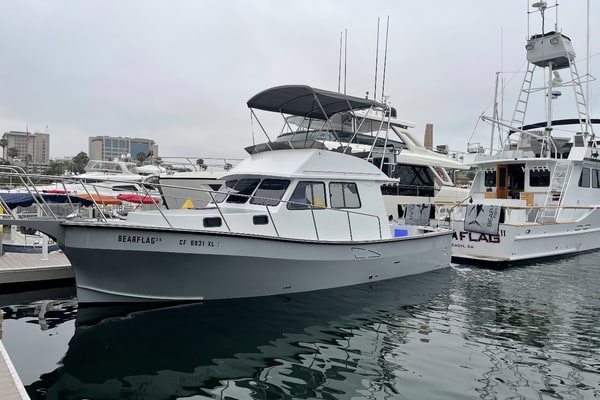 2019 Donelle 35 Flybridge Sportfish